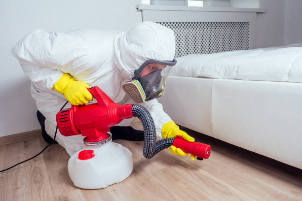 Best Flea Control Services  in Bowleys Quarters, MD