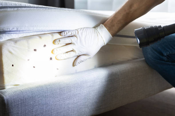 Best Pest Removal Services  in Bowleys Quarters, MD
