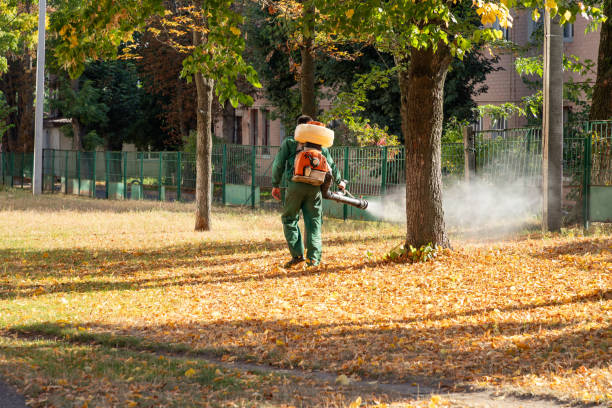 Best Residential Pest Control  in Bowleys Quarters, MD